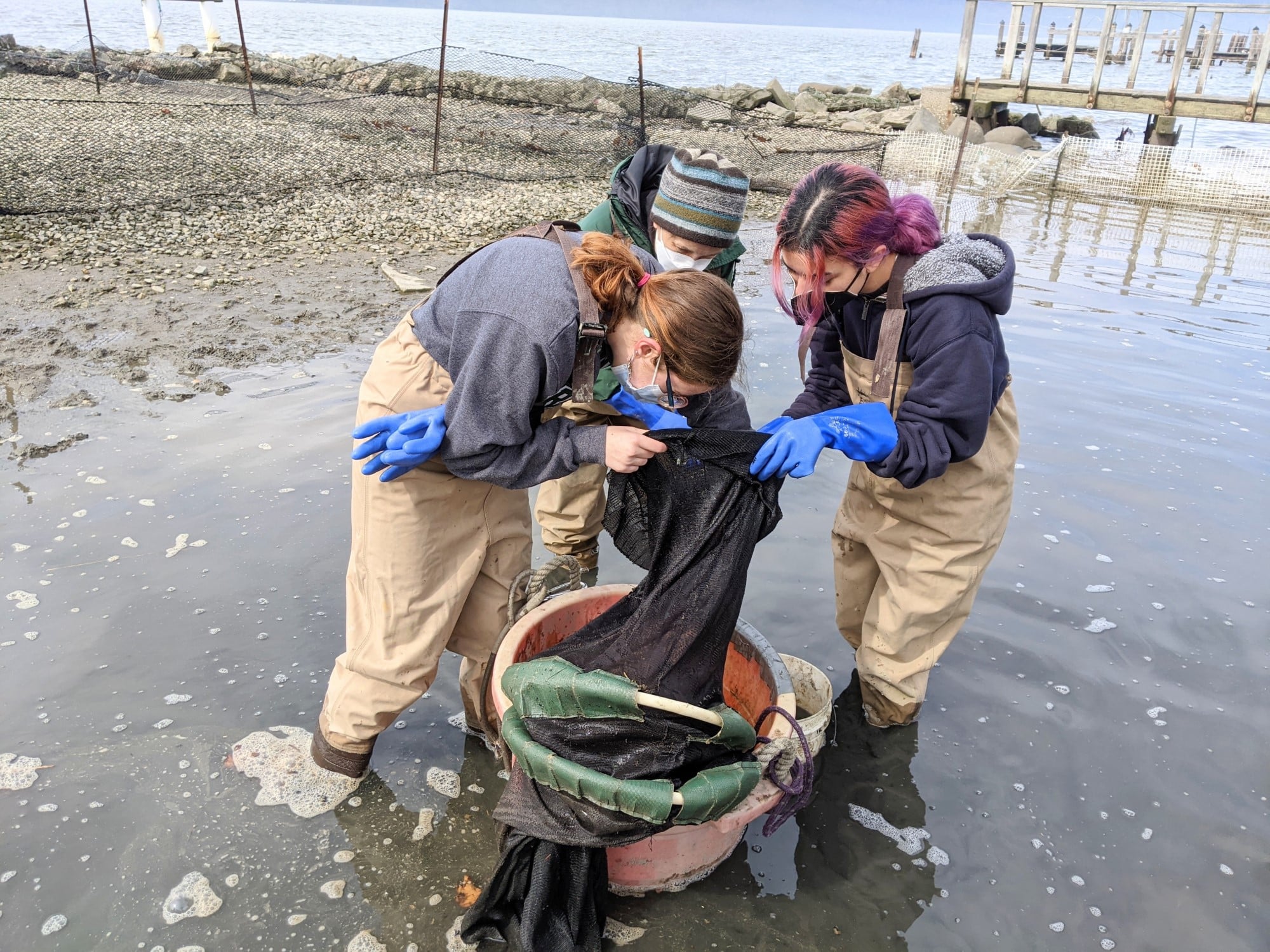 Eel Volunteers